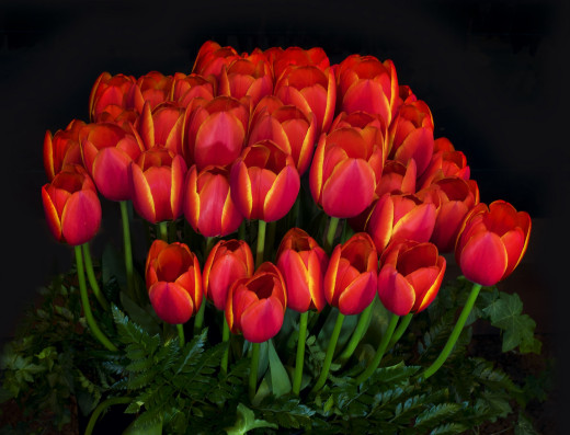 931520 (a): :2048x1560